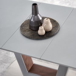 Table a manger design gris mat pied métal Cara